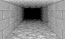 Dungeon Master and Chaos Strikes Back (USA, Amiga) - Version 20 Dungeon View