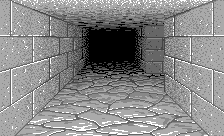 Dungeon Master and Chaos Strikes Back (USA, Amiga) - Version 31 Dungeon View