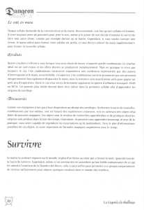 Dungeon Master II (France, Macintosh) - Manual Page 043