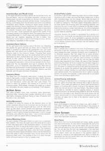 Dungeon Master II (Germany, PC) - Blackmarket With Manual Manual Page 010 Dungeon Master II (Germany, PC) - Blackmarket With Manual Manual Page 010