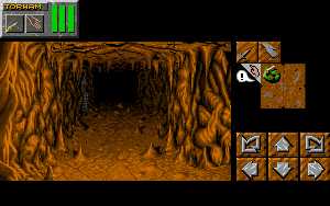 Dungeon Master II (Macintosh) - Compact Layout Dungeon view