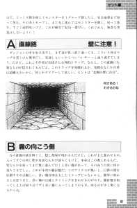 Dungeon Master Guide Book (Japan) - Page 093