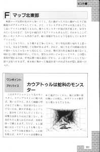 Dungeon Master Guide Book (Japan) - Page 113