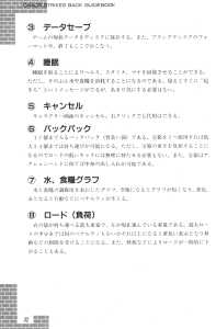Dungeon Master Sequel Chaos Strikes Back Guide Book Expanded Edition (Japan) - Page 034