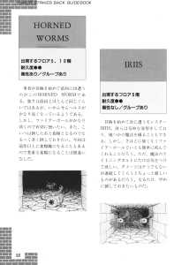 Dungeon Master Sequel Chaos Strikes Back Guide Book Expanded Edition (Japan) - Page 060