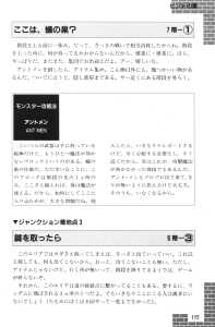 Dungeon Master Sequel Chaos Strikes Back Guide Book Expanded Edition (Japan) - Page 117