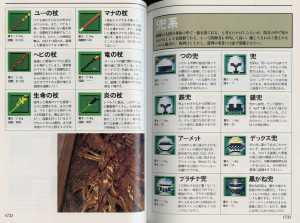 Encyclopedia Dungeon Master New Guidance (Japan) - Pages 072-073