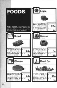 Official Guide Of Dungeon Master II Skullkeep (Japan) - Page 076