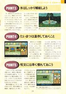 4 Great Game Capture Handbook - Dungeon Master II Guide - Login (Japan), Vol 13 No 3 04 February 1994, Page 19